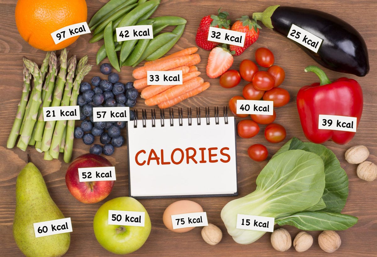 How To Keep Track Of Calorie Intake Electricitytax24