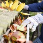 Why Gutter Cleaning Matters for Your Property