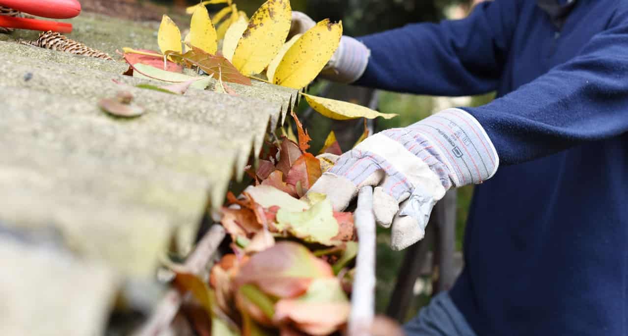 gutter cleaning